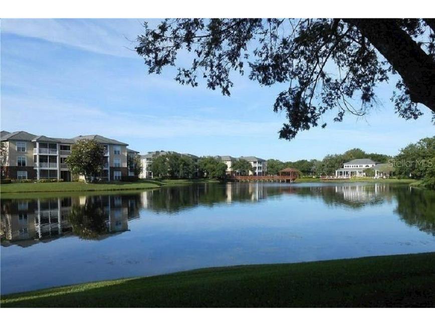 4115 Chatham Oak Court #218 Tampa FL 33624 T3508193 image31
