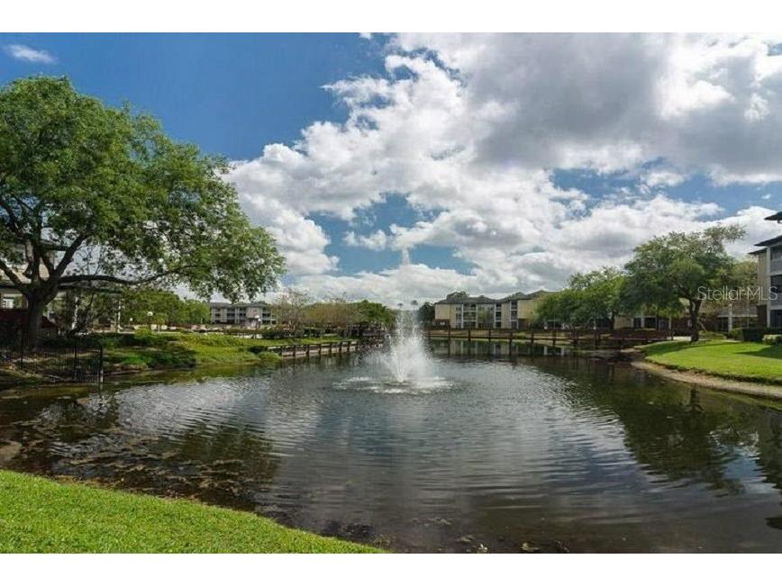 4115 Chatham Oak Court #218 Tampa FL 33624 T3508193 image32