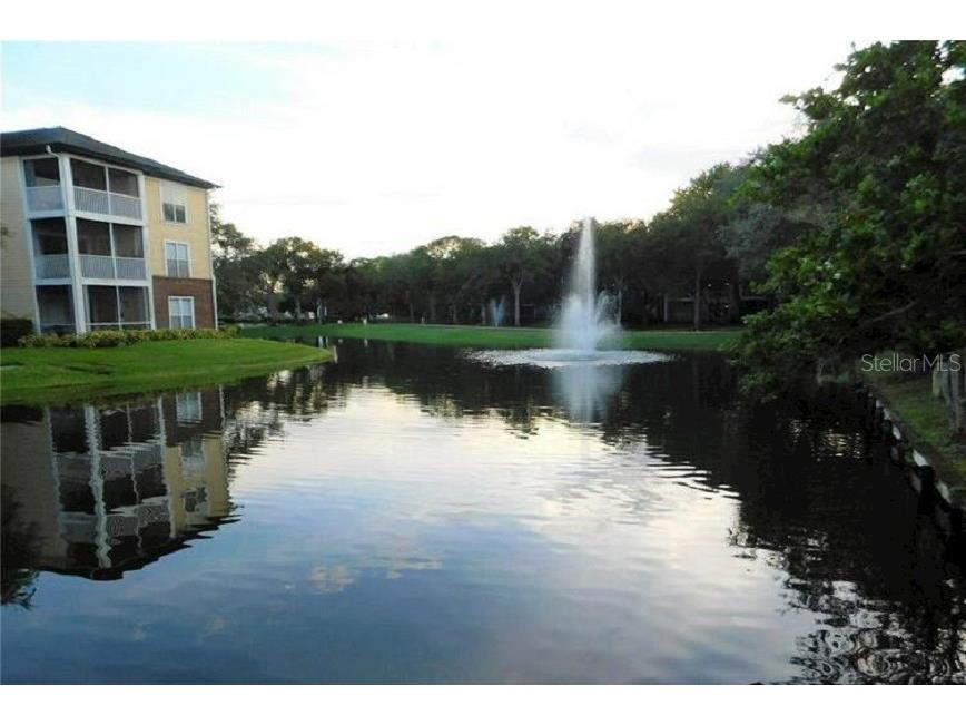 4115 Chatham Oak Court #218 Tampa FL 33624 T3508193 image33