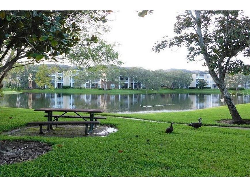 4115 Chatham Oak Court #218 Tampa FL 33624 T3508193 image35