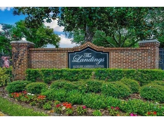 4115 Chatham Oak Court #218 Tampa FL 33624 T3508193 image37