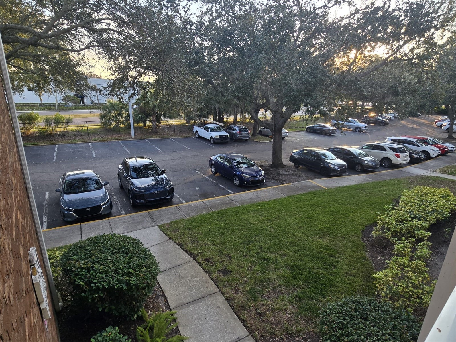 4115 Chatham Oak Court #218 Tampa FL 33624 TB8507376 image35