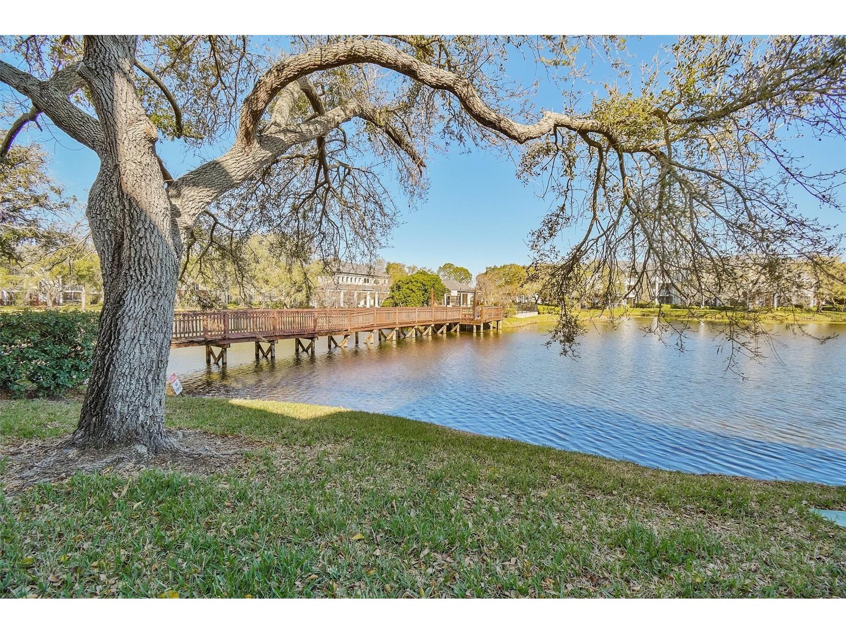 4115 Chatham Oak Court #220 Tampa FL 33624 TB8480700 image20