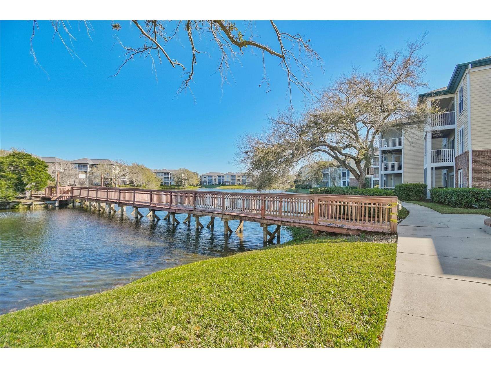 4115 Chatham Oak Court #220 Tampa FL 33624 TB8480700 image21