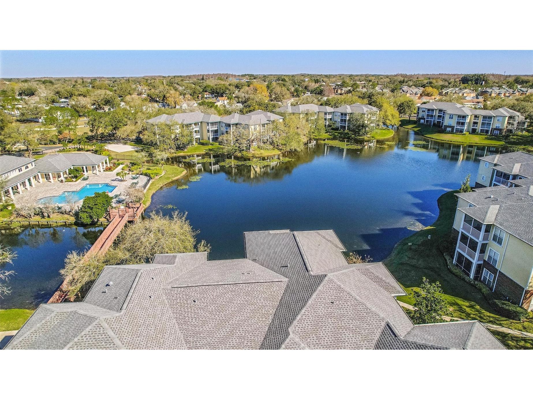 4115 Chatham Oak Court #220 Tampa FL 33624 TB8480700 image23