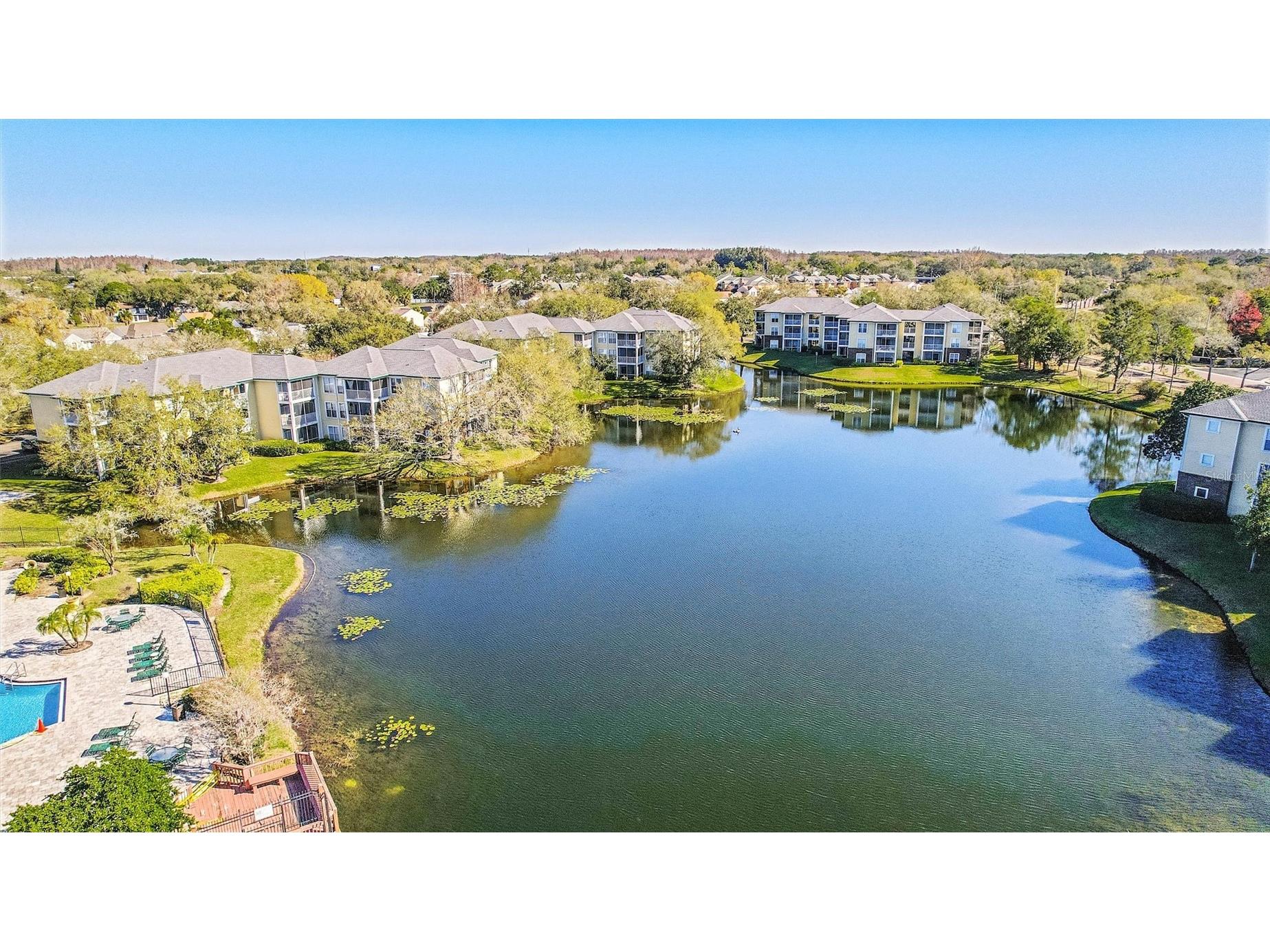 4115 Chatham Oak Court #220 Tampa FL 33624 TB8480700 image25