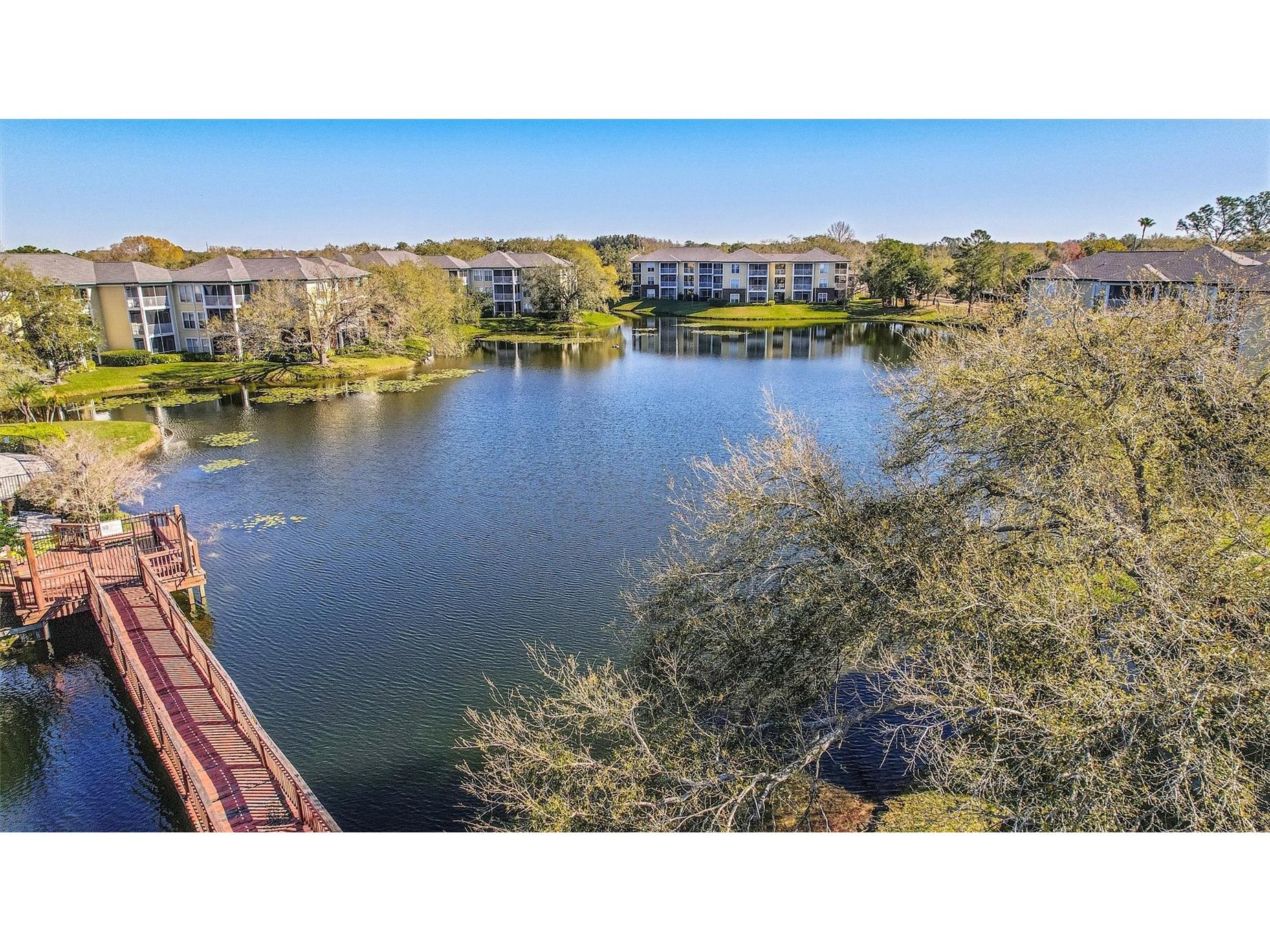 4115 Chatham Oak Court #220 Tampa FL 33624 TB8480700 image26