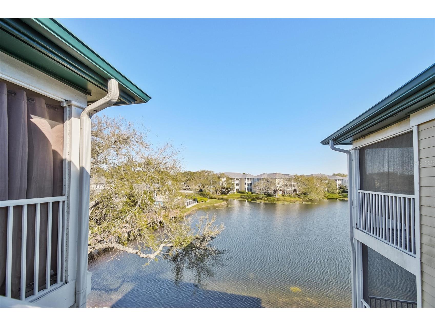 4115 Chatham Oak Court #220 Tampa FL 33624 TB8480700 image3
