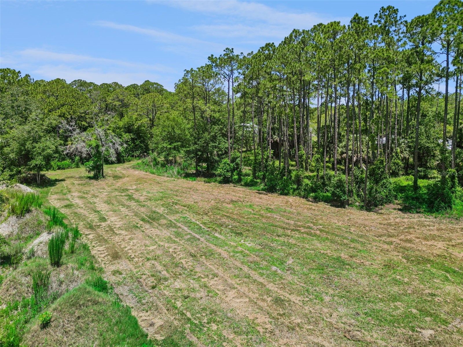 4115 Golden Shores Boulevard Mims FL 32754 O6416385 image1