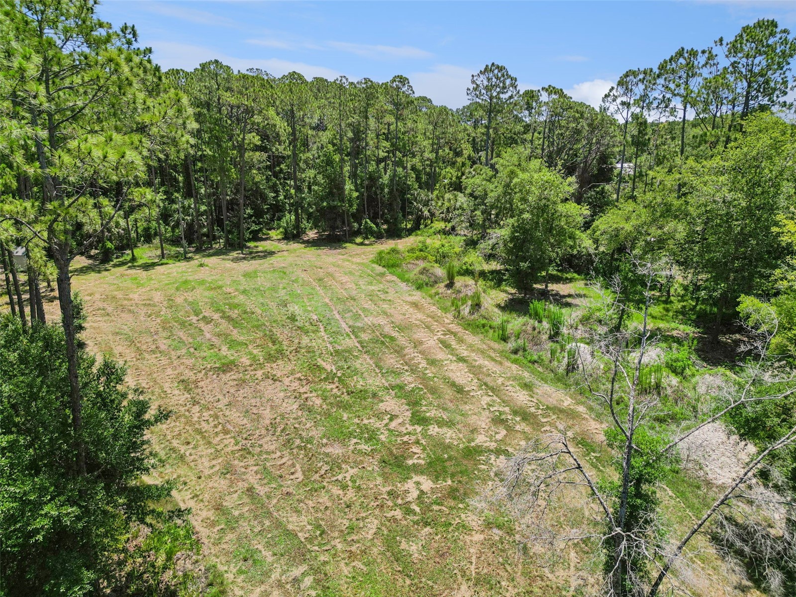 4115 Golden Shores Boulevard Mims FL 32754 O6416385 image2