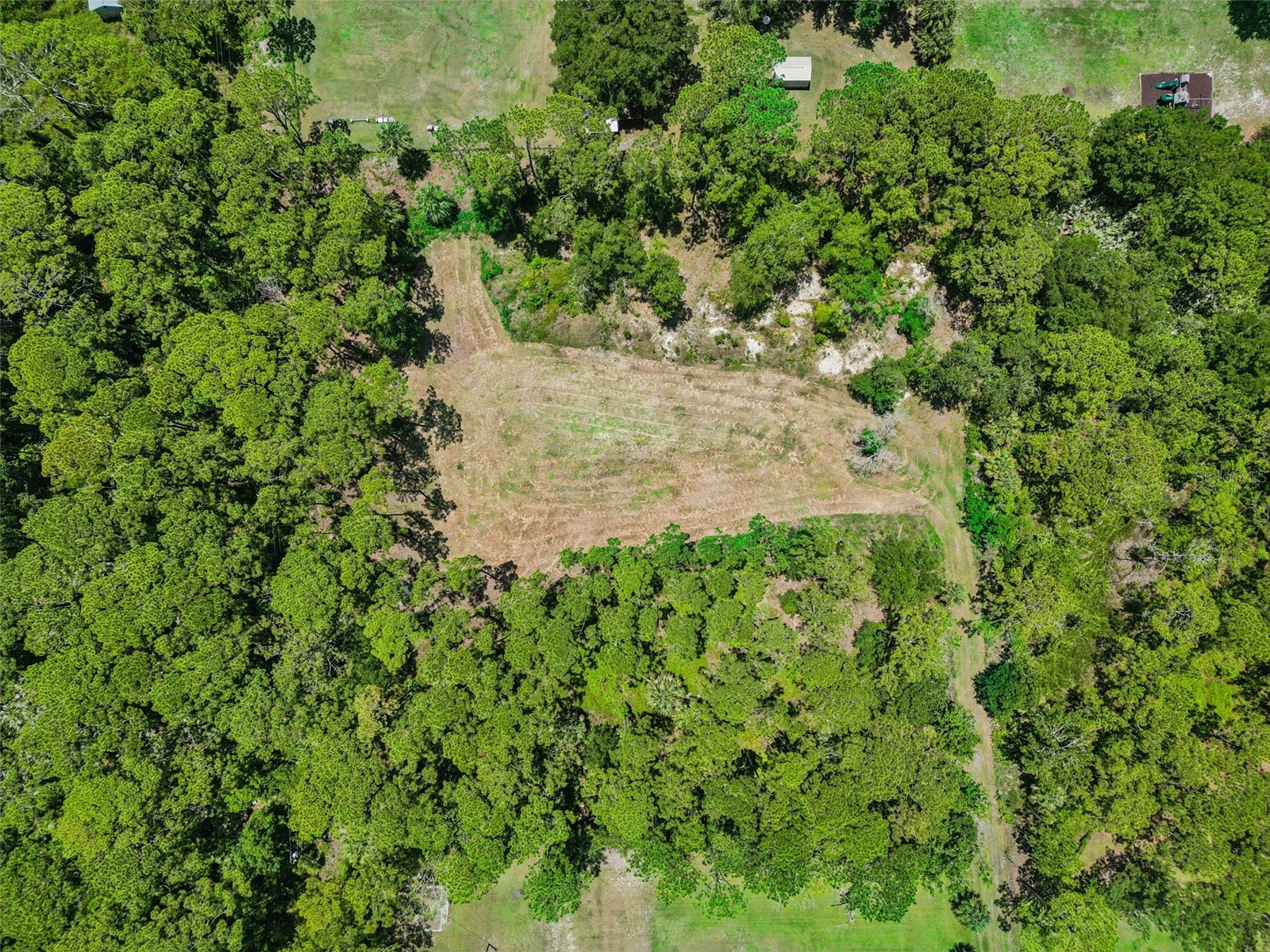 4115 Golden Shores Boulevard Mims FL 32754 O6416385 image8