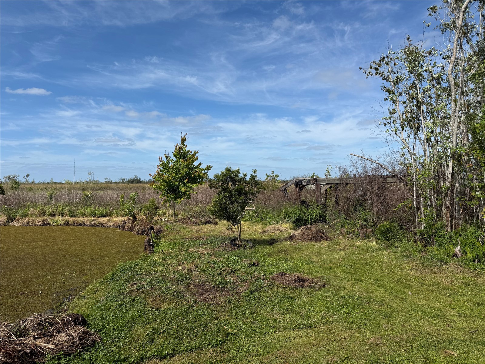 4115 Polk City Road Haines City FL 33844 - LAKE LOWERY O6401380 image6