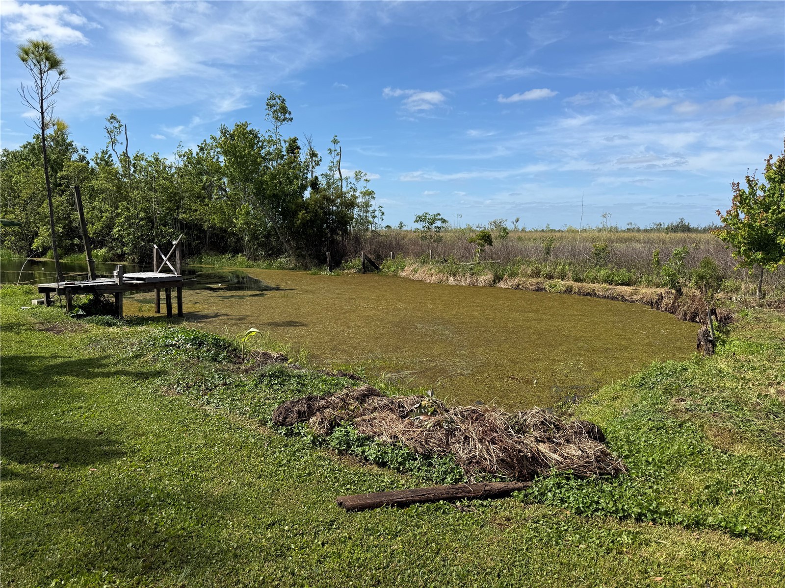 4115 Polk City Road Haines City FL 33844 - LAKE LOWERY O6401380 image7