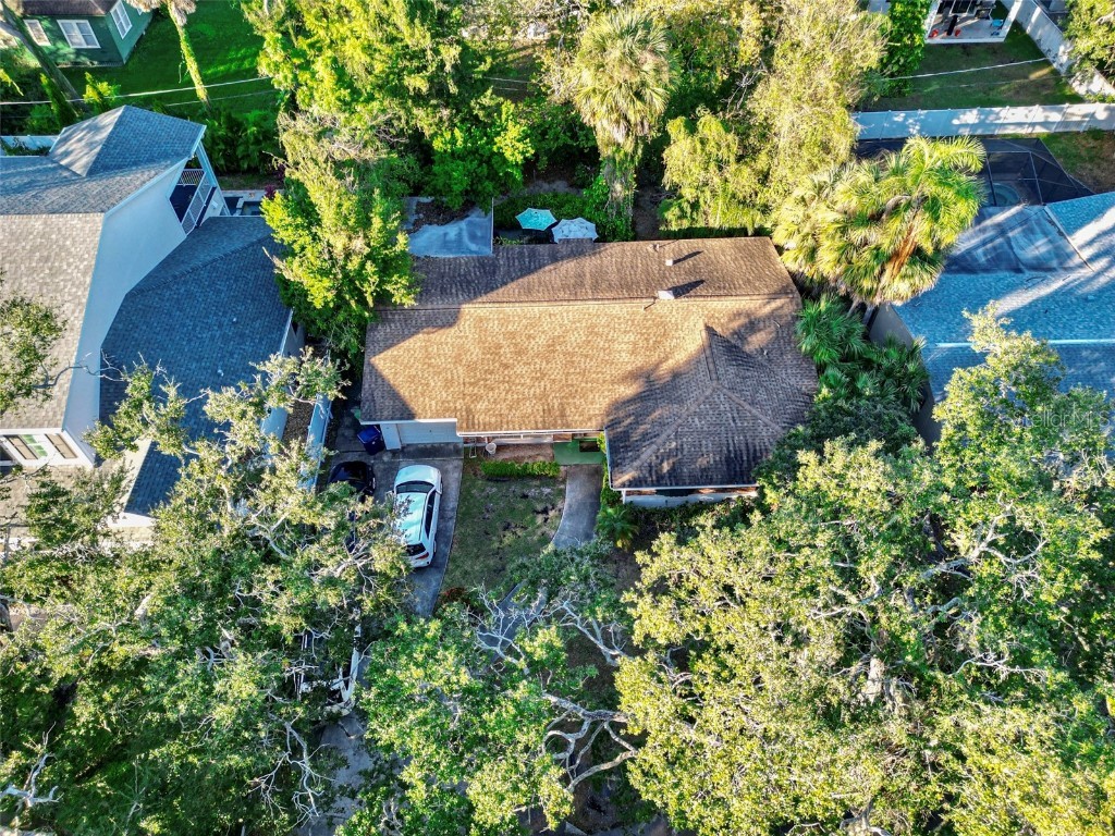 4115 W Platt Street Tampa FL 33609 U8222466 image1