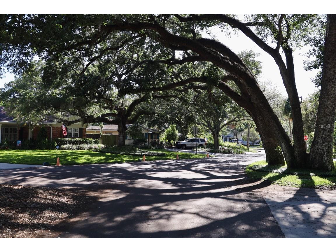 4115 W Platt Street Tampa FL 33609 TB8456910 image35