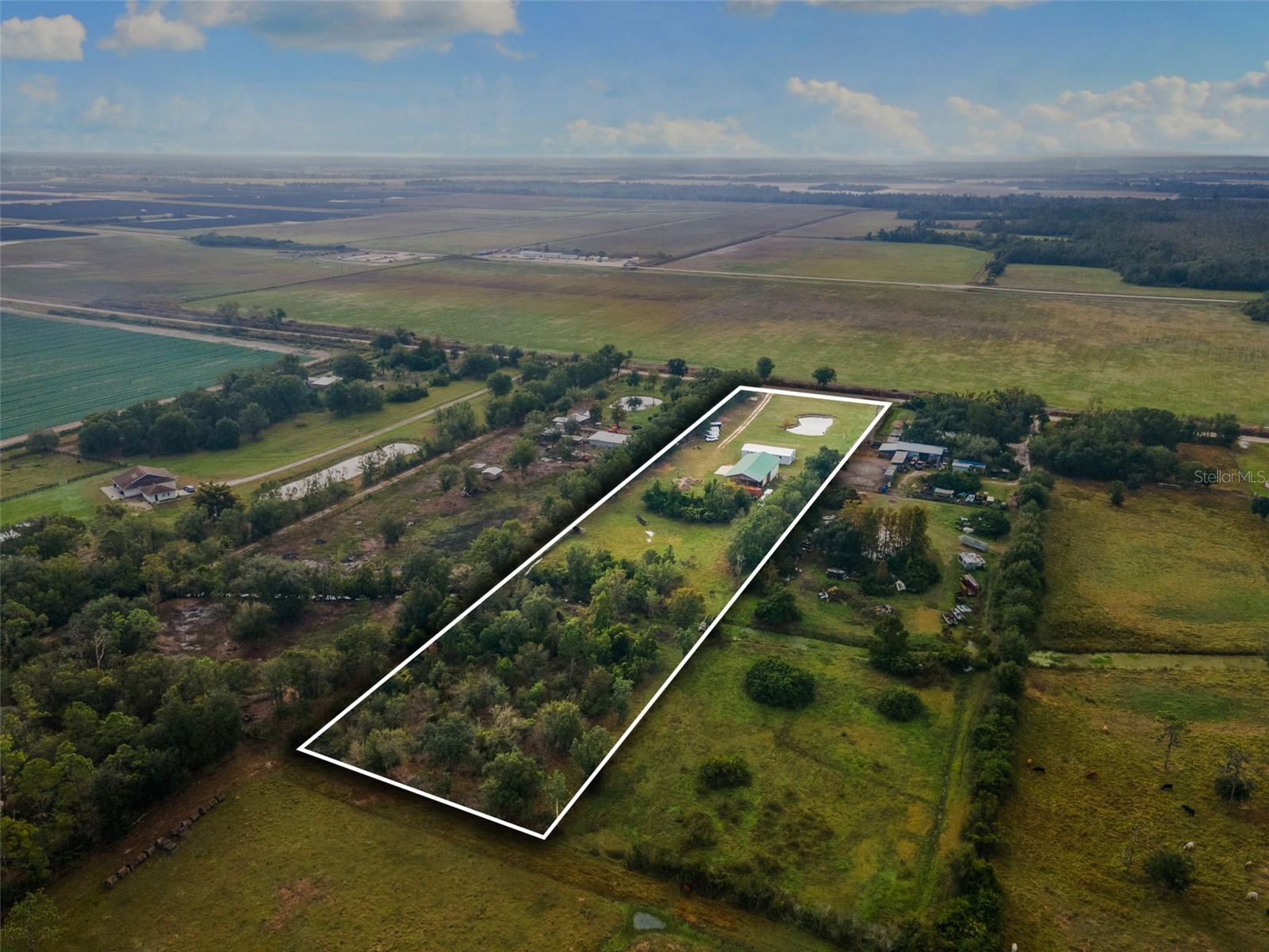 41155 Parks Road Myakka City FL 34251 A4675269 image1