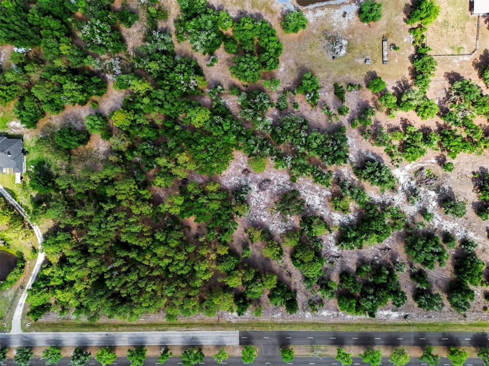 41155 State Rd 64 East Myakka City FL 34251 A4690172 image8