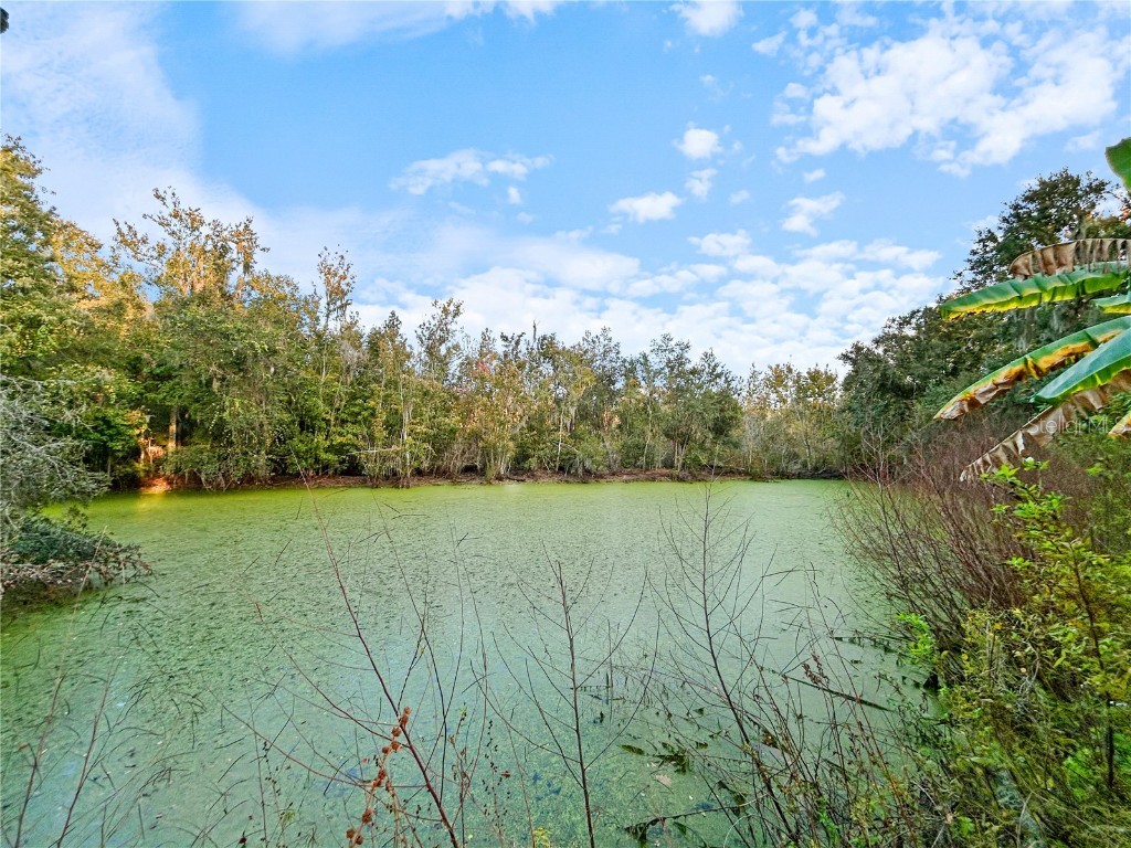 4116 Amanda Drive Plant City FL 33565 TB8448284 image30