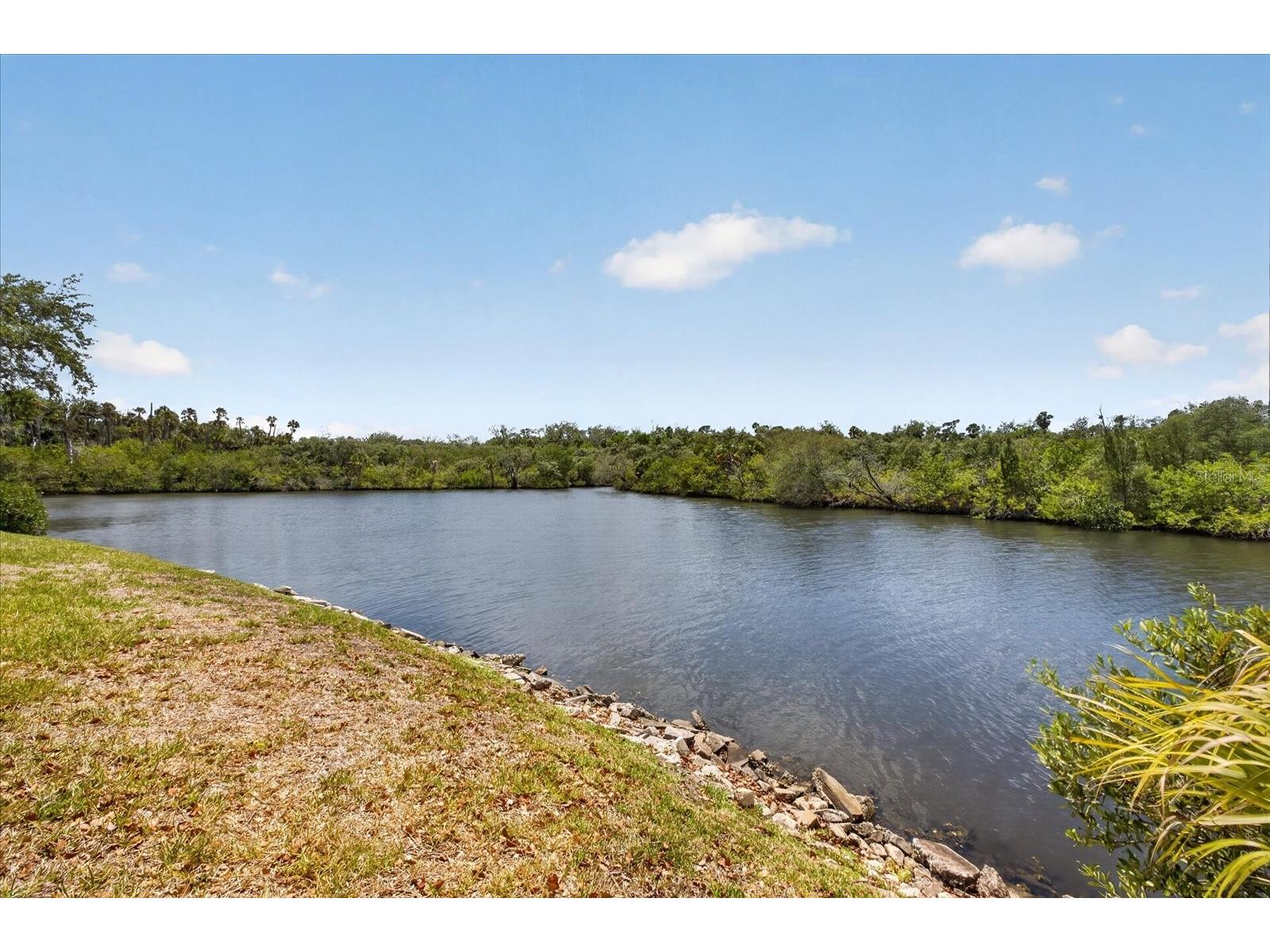 4116 Hampton Drive New Port Richey FL 34652 W7885060 image24
