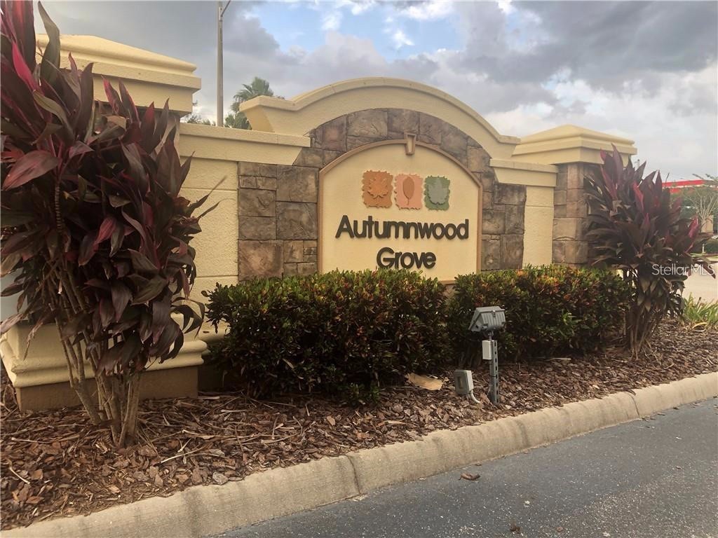 4116 Winding Vine Drive Lakeland FL 33812 L4961864 image23