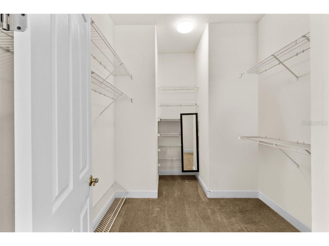 4116 Woodacre Lane Tampa FL 33624 TB8438813 image11