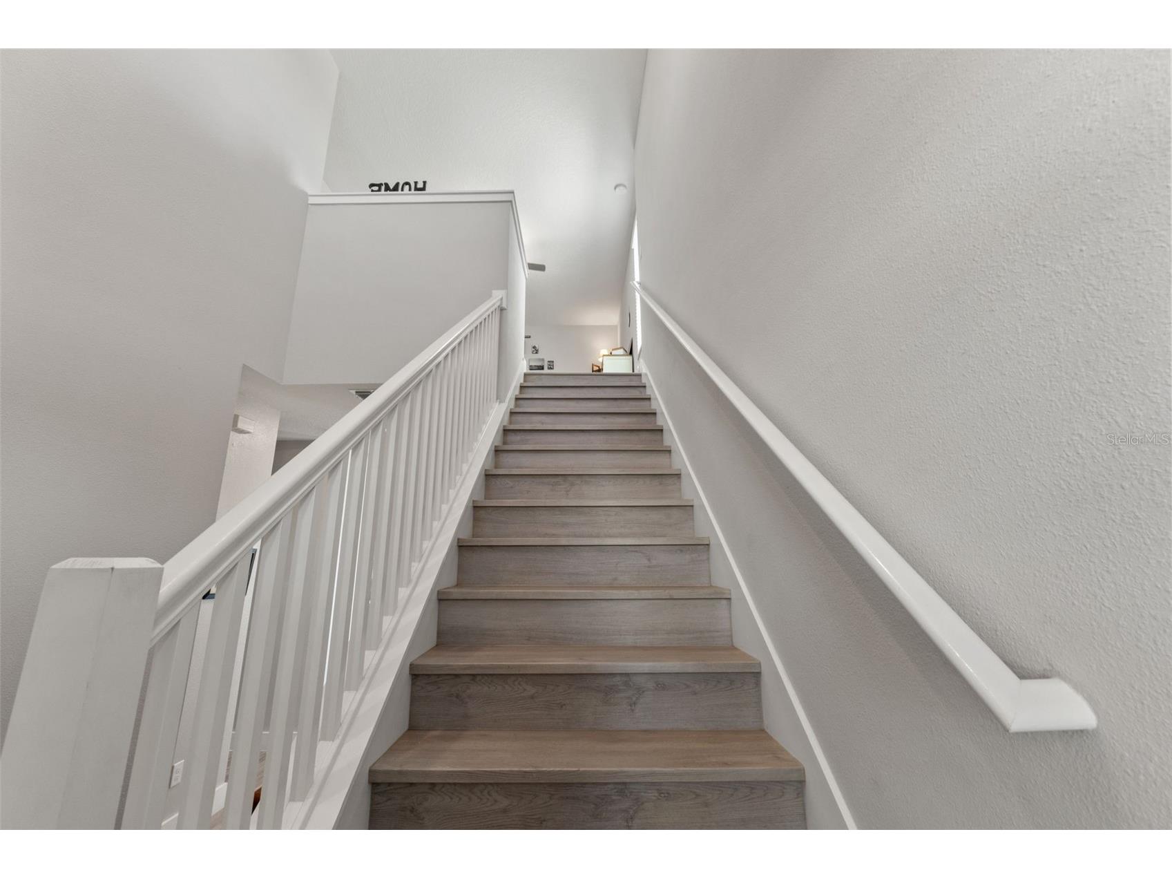 4117 Cadence Loop Land O Lakes FL 34638 W7883277 image24