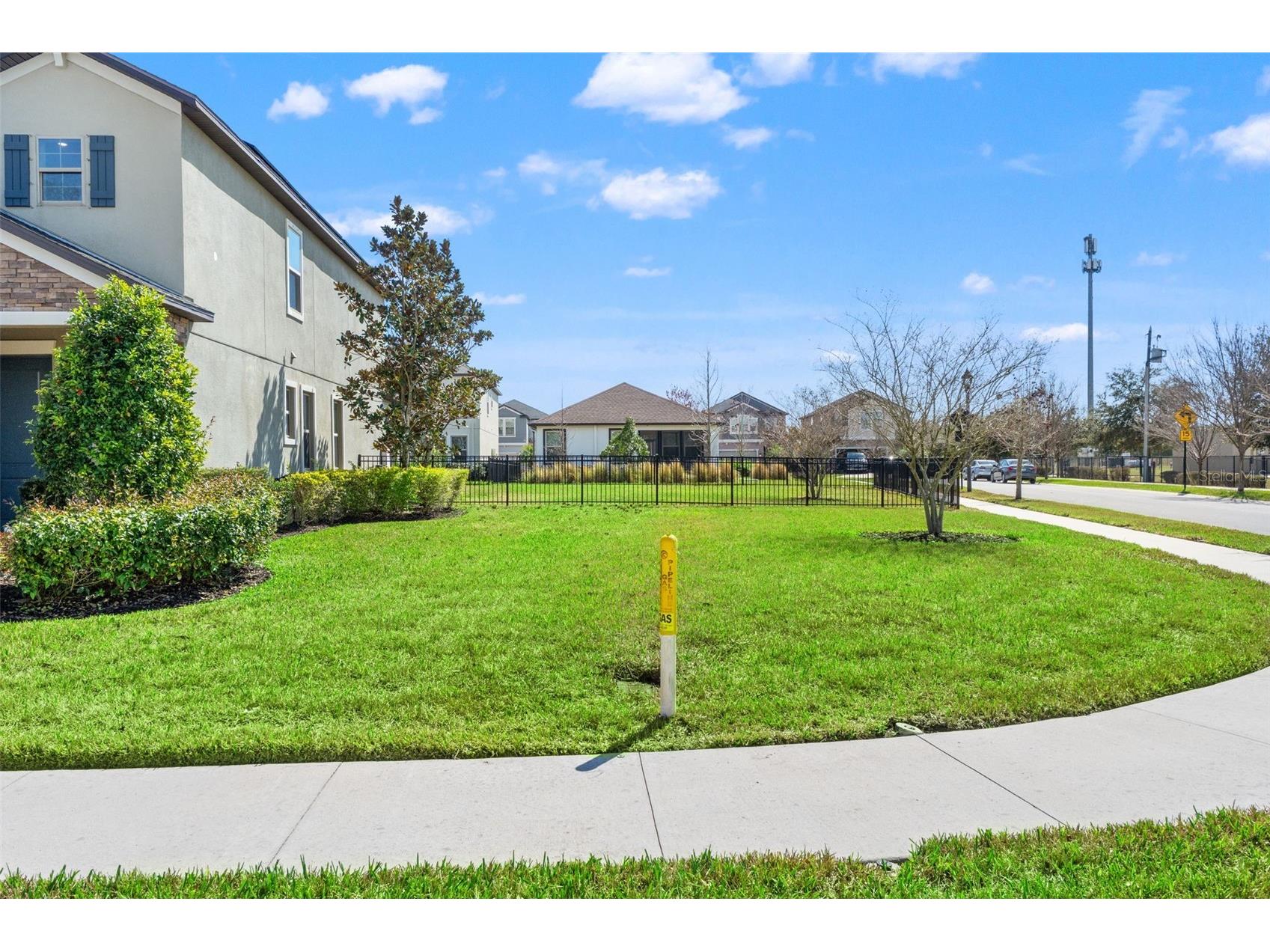 4117 Cadence Loop Land O Lakes FL 34638 W7883277 image52
