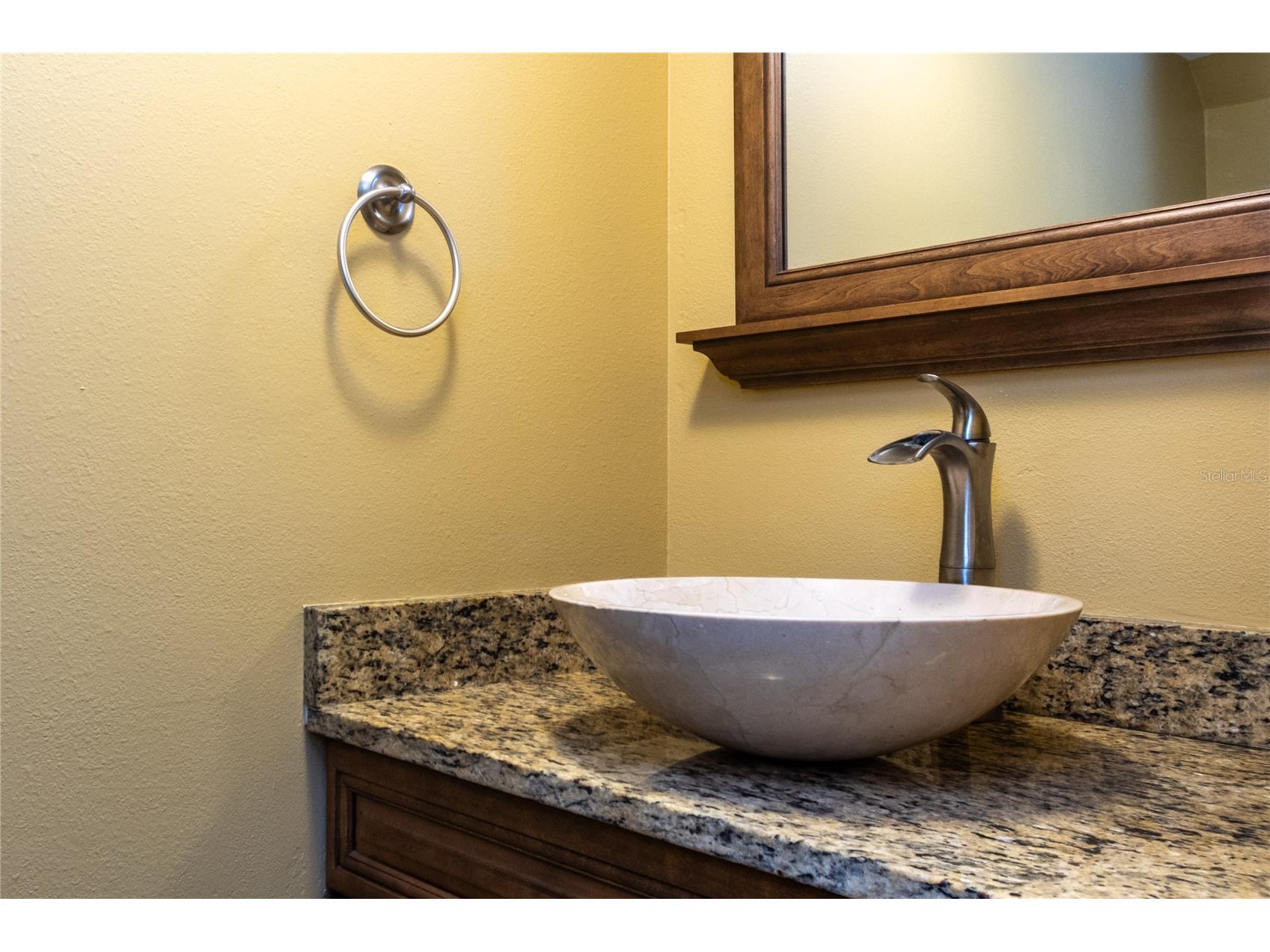 4117 Daventry Lane Palm Harbor FL 34685 TB8402978 image13