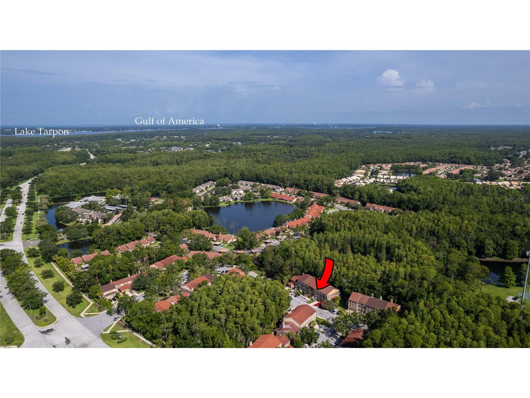 4117 Daventry Lane Palm Harbor FL 34685 TB8402978 image3