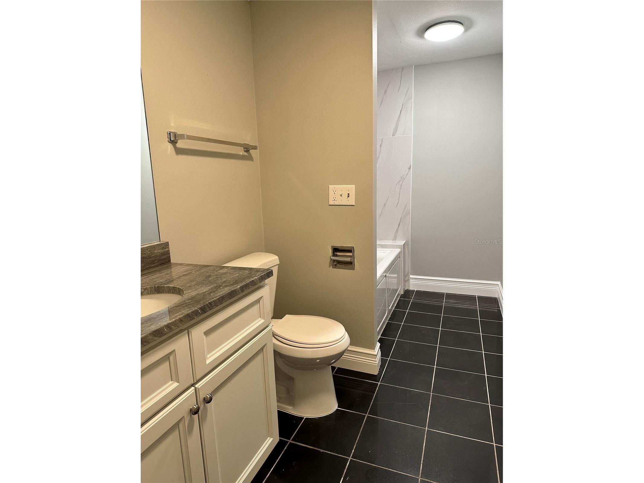 4117 Daventry Lane Palm Harbor FL 34685 TB8402978 image32