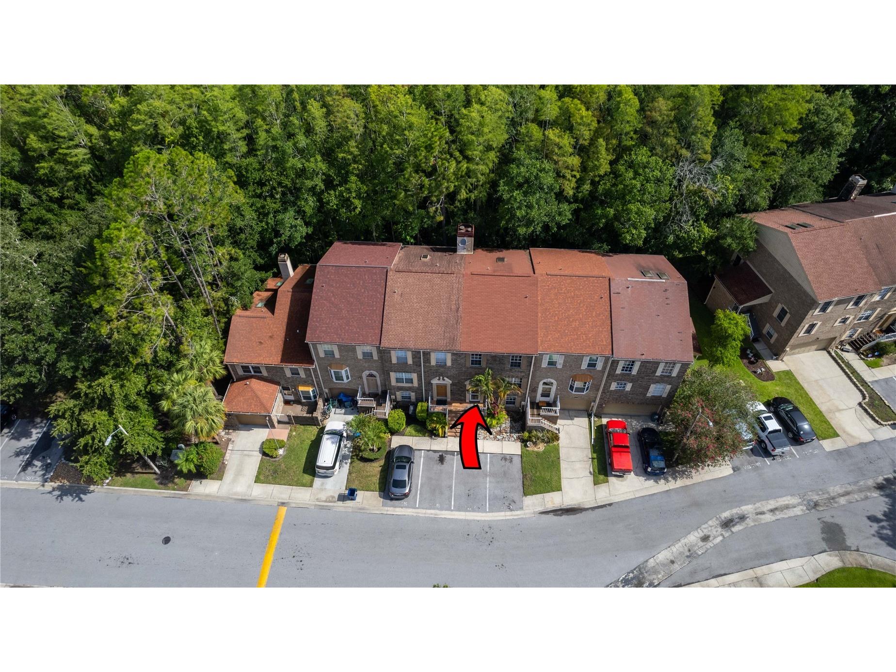 4117 Daventry Lane Palm Harbor FL 34685 TB8402978 image4