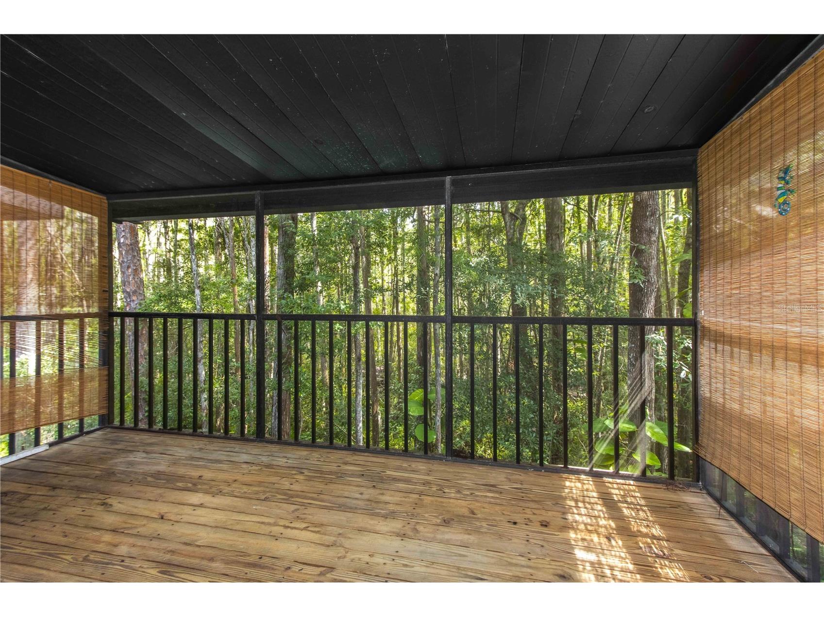 4117 Daventry Lane Palm Harbor FL 34685 TB8402978 image40