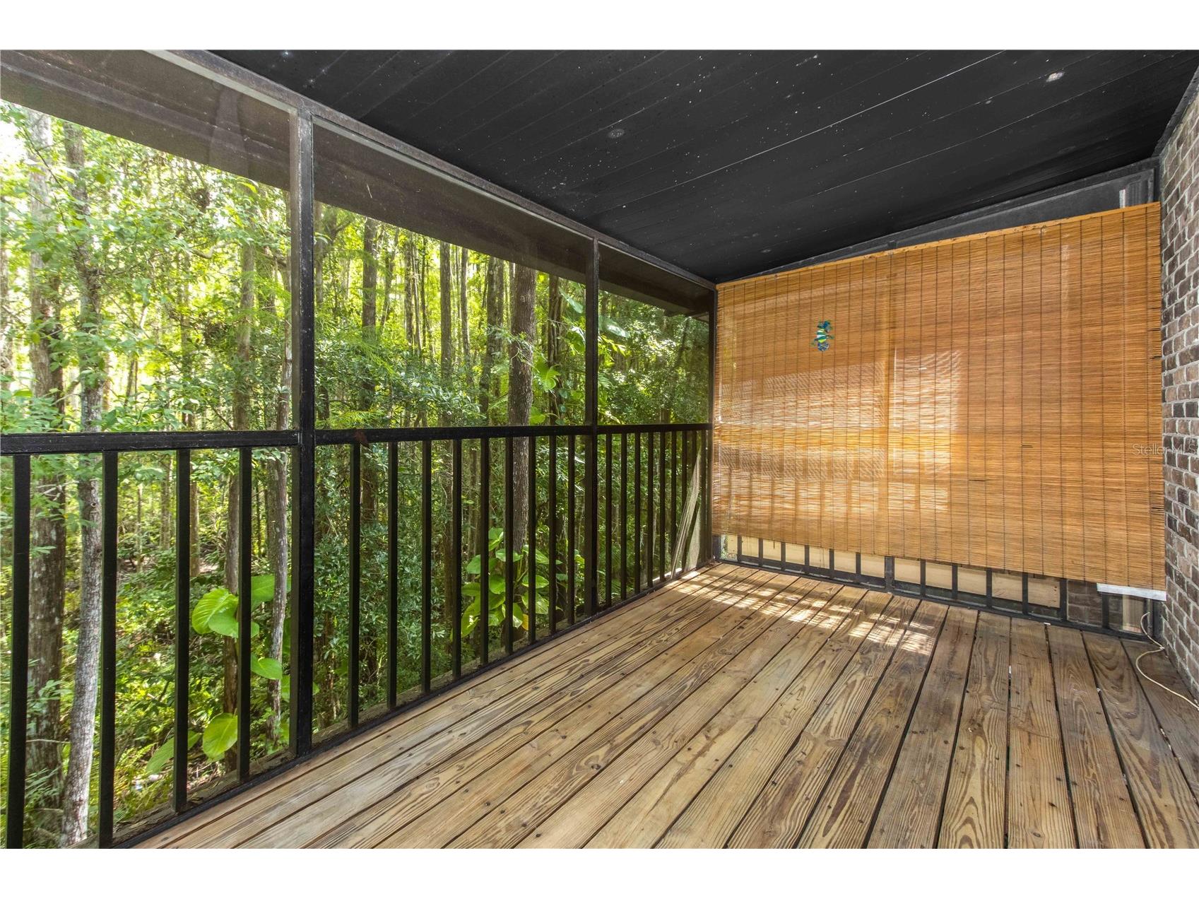 4117 Daventry Lane Palm Harbor FL 34685 TB8402978 image41