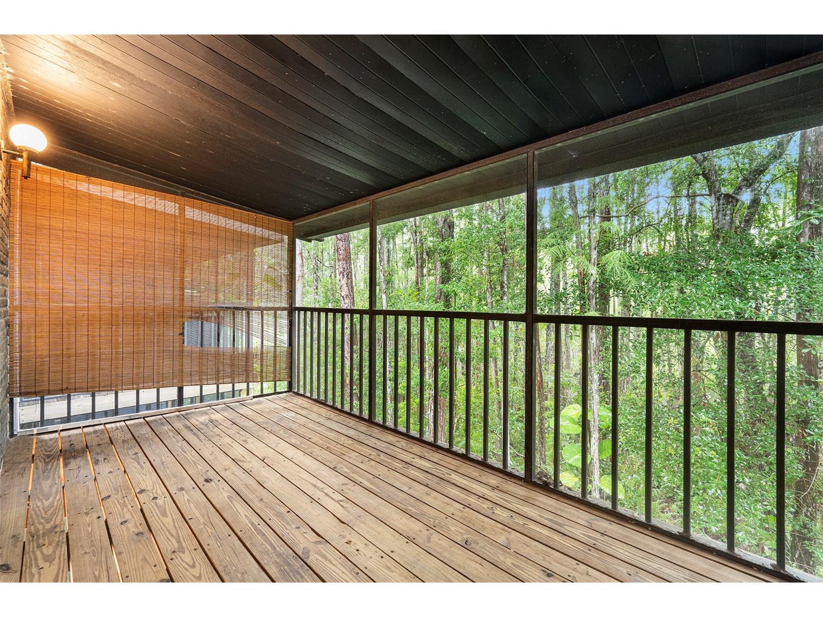 4117 Daventry Lane Palm Harbor FL 34685 TB8402978 image42