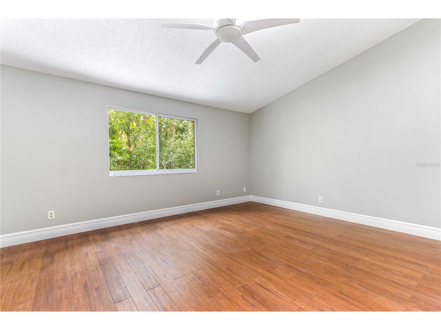 4117 Daventry Lane Palm Harbor FL 34685 TB8402978 image44