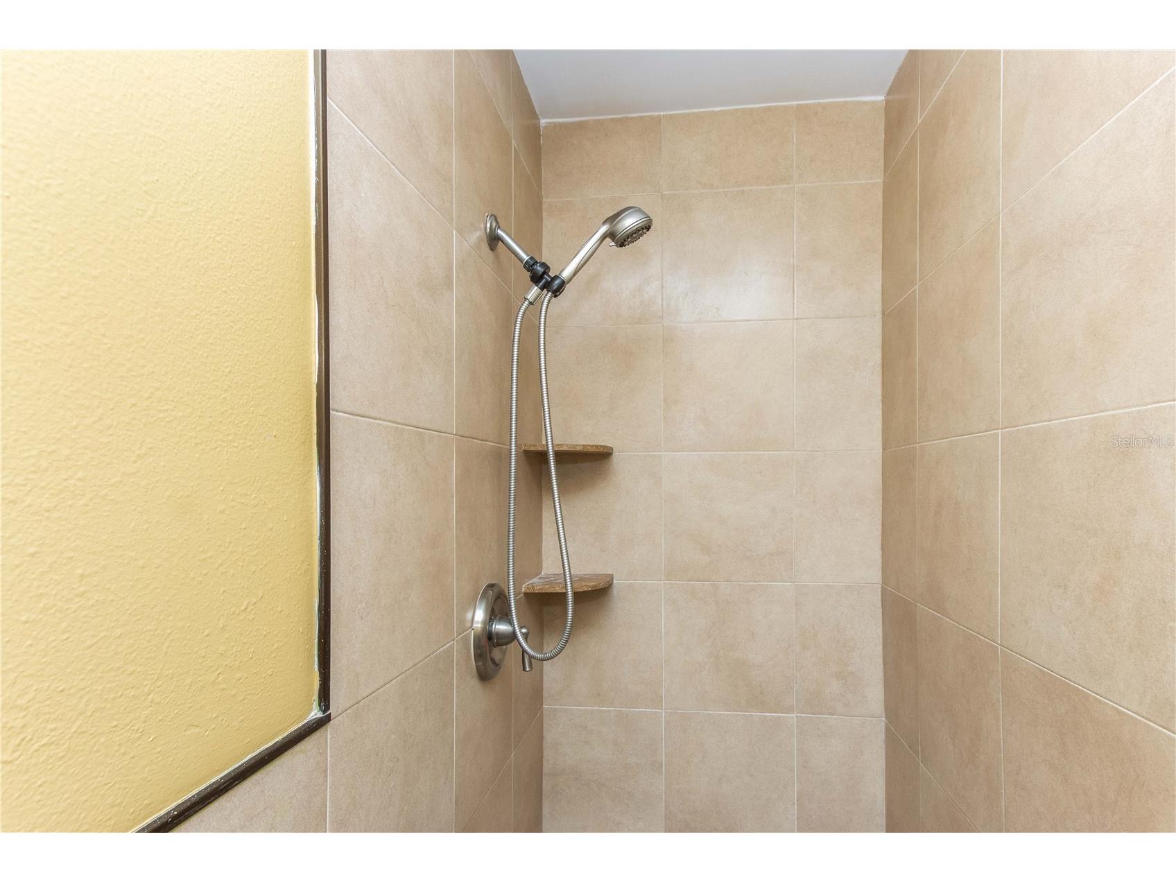 4117 Daventry Lane Palm Harbor FL 34685 TB8402978 image49