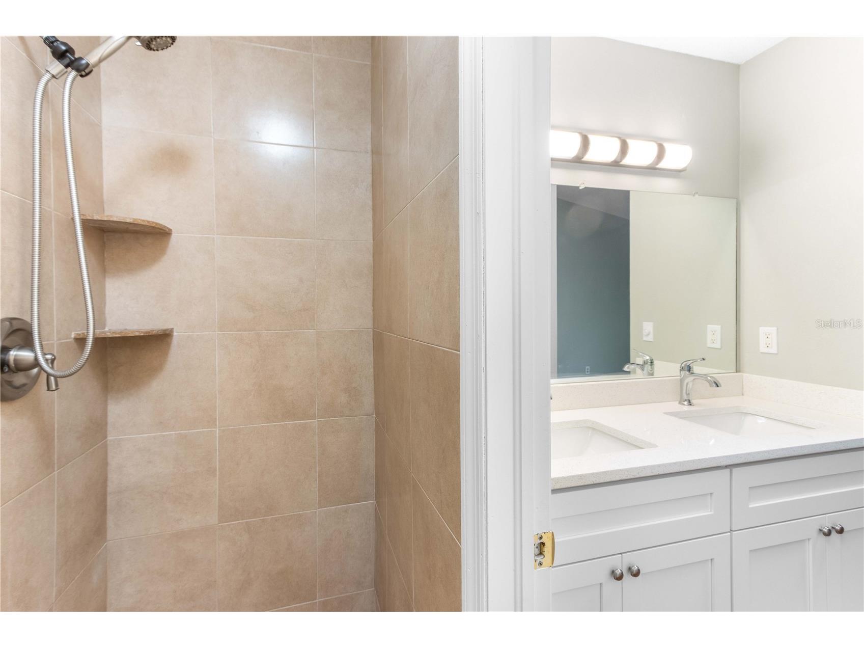 4117 Daventry Lane Palm Harbor FL 34685 TB8402978 image50