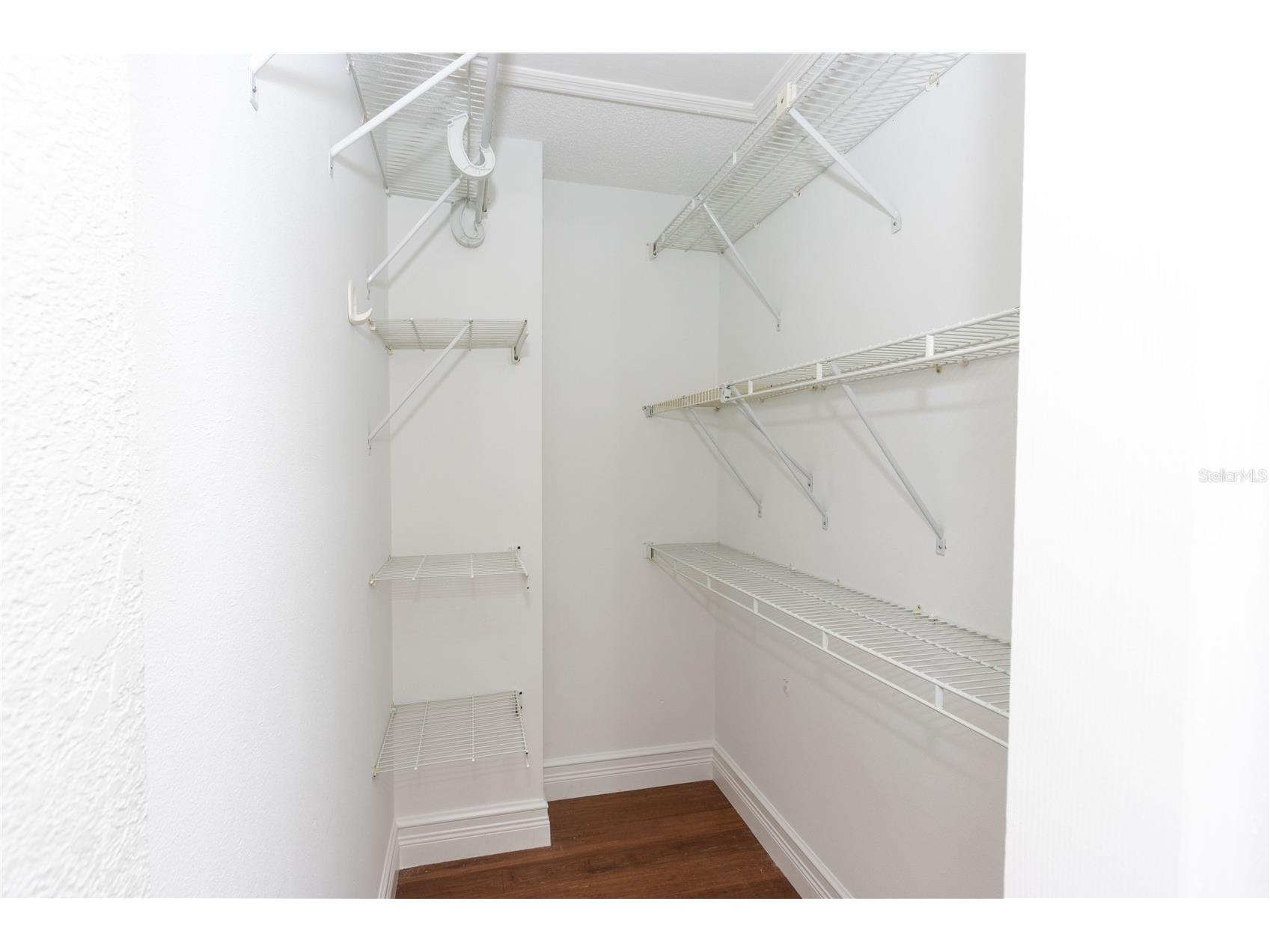 4117 Daventry Lane Palm Harbor FL 34685 TB8402978 image51