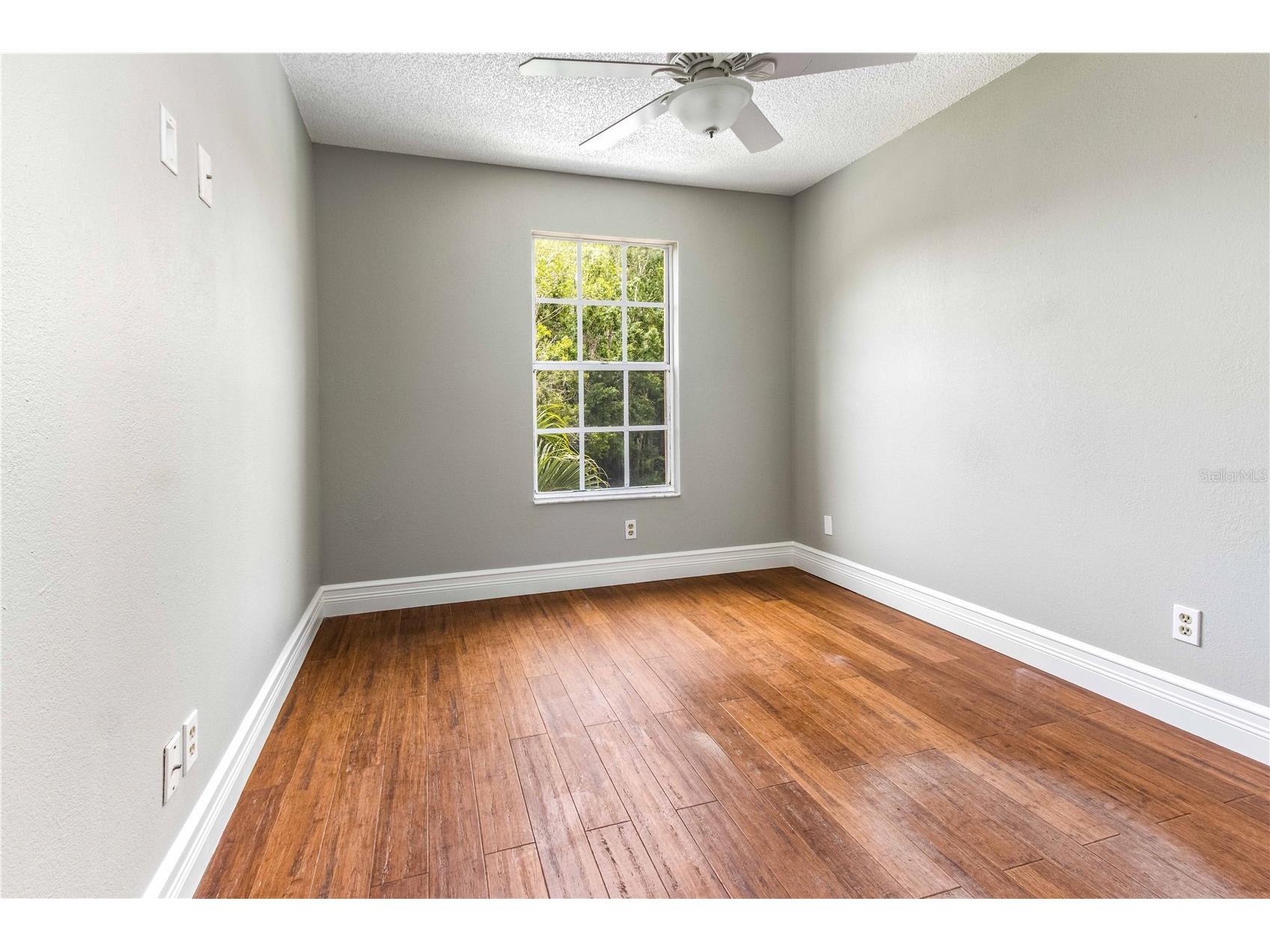 4117 Daventry Lane Palm Harbor FL 34685 TB8402978 image53