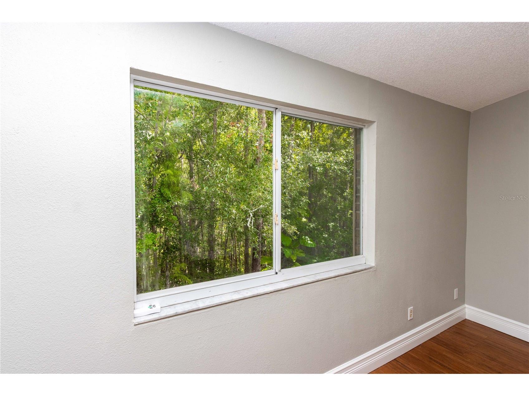 4117 Daventry Lane Palm Harbor FL 34685 TB8402978 image54