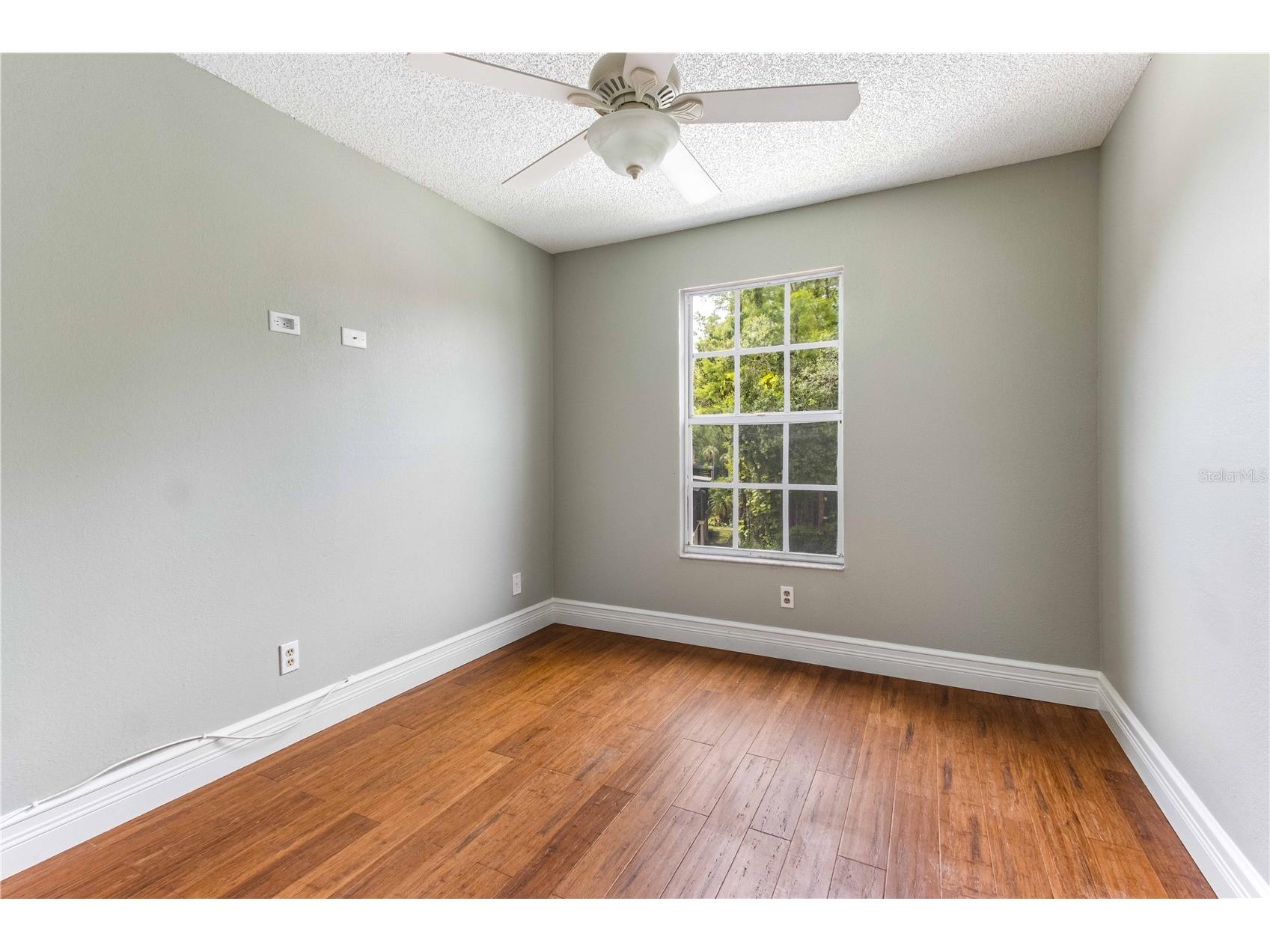 4117 Daventry Lane Palm Harbor FL 34685 TB8402978 image57