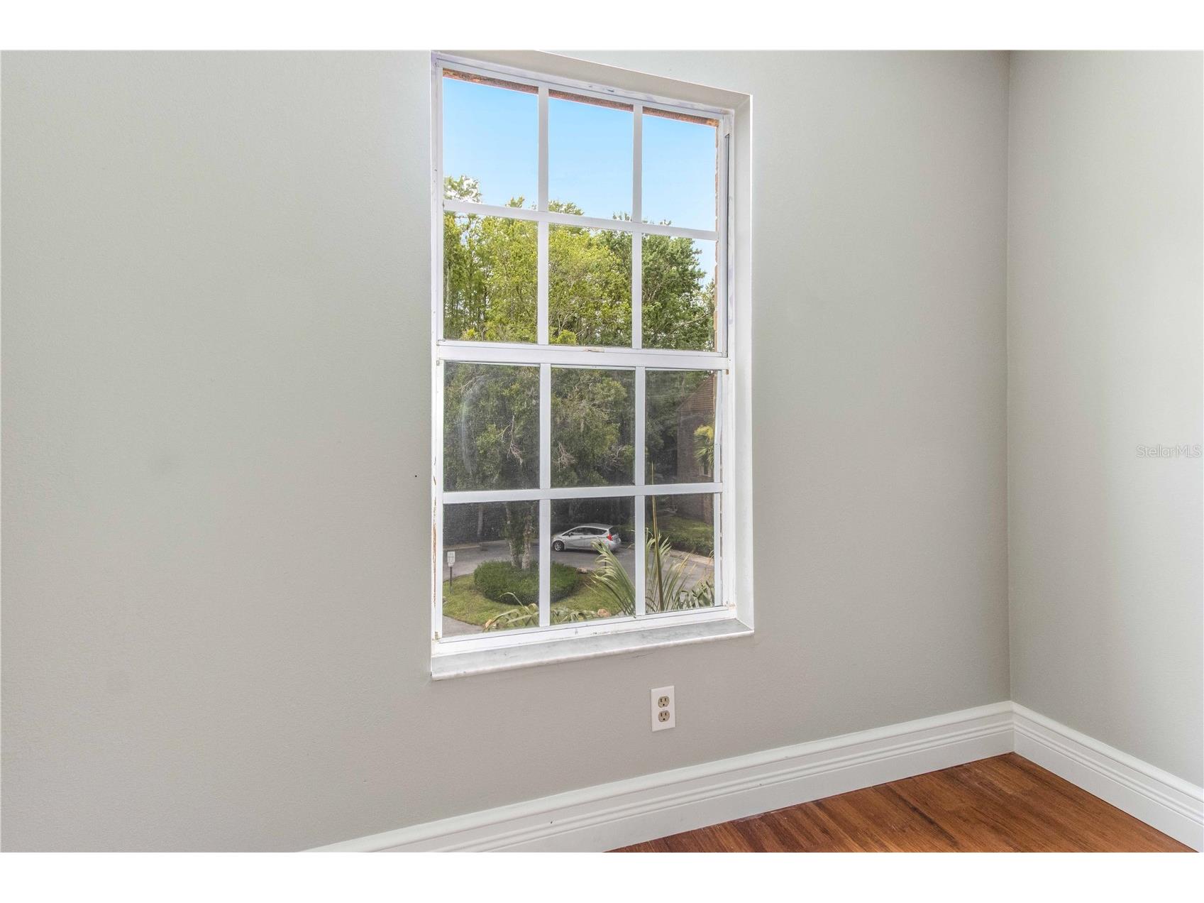 4117 Daventry Lane Palm Harbor FL 34685 TB8402978 image58