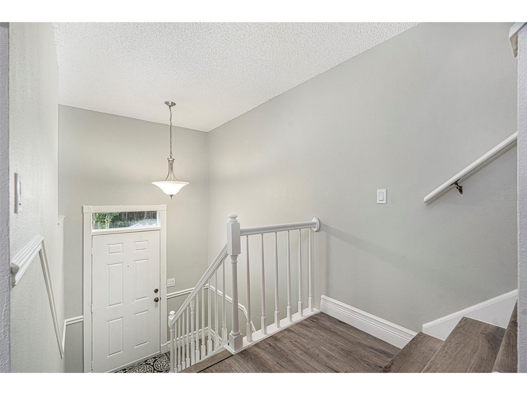 4117 Daventry Lane Palm Harbor FL 34685 TB8402978 image6