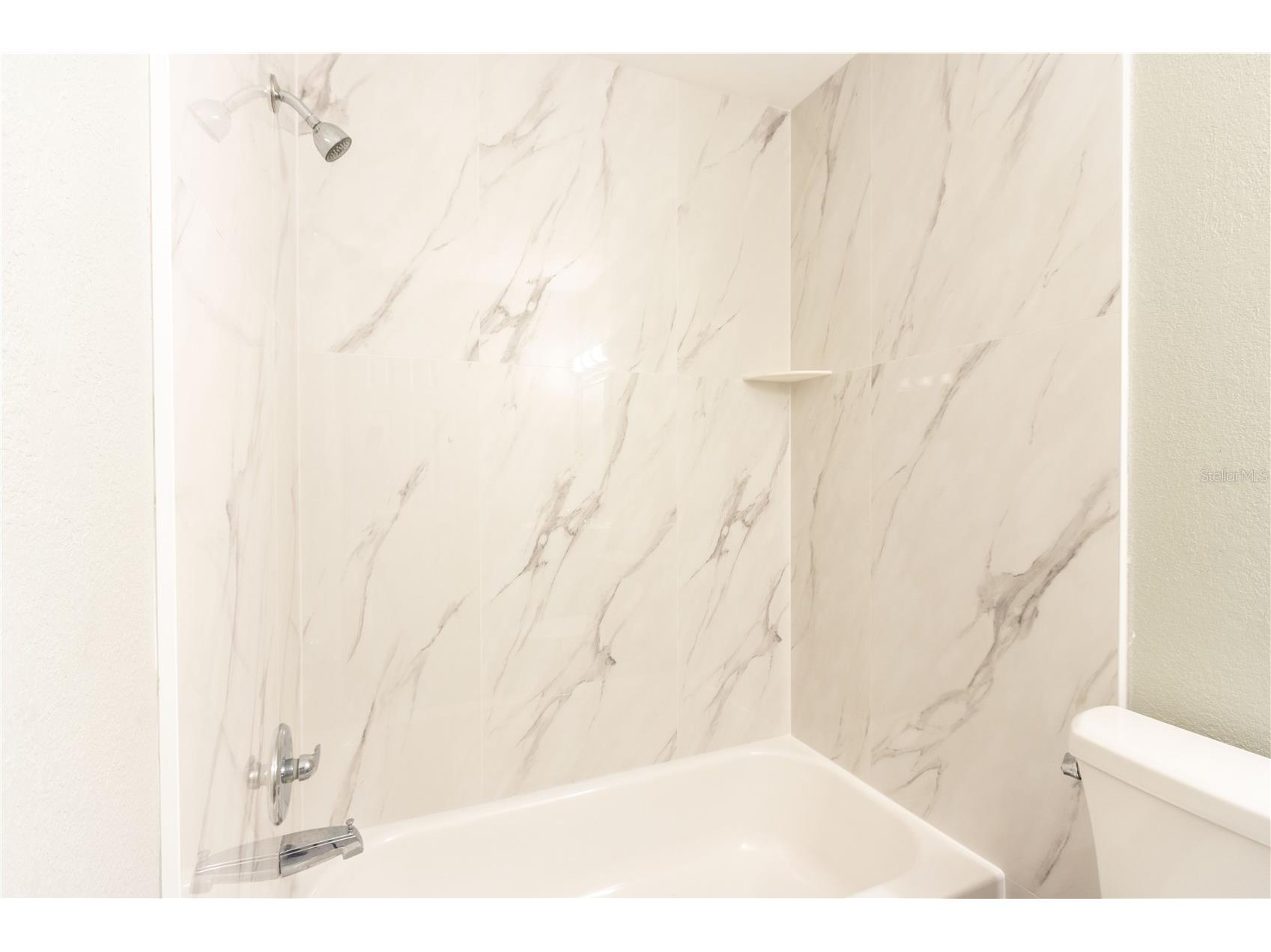 4117 Daventry Lane Palm Harbor FL 34685 TB8402978 image63