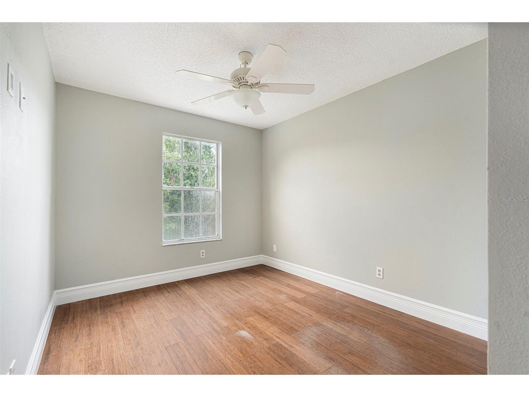 4117 Daventry Lane Palm Harbor FL 34685 TB8402978 image64