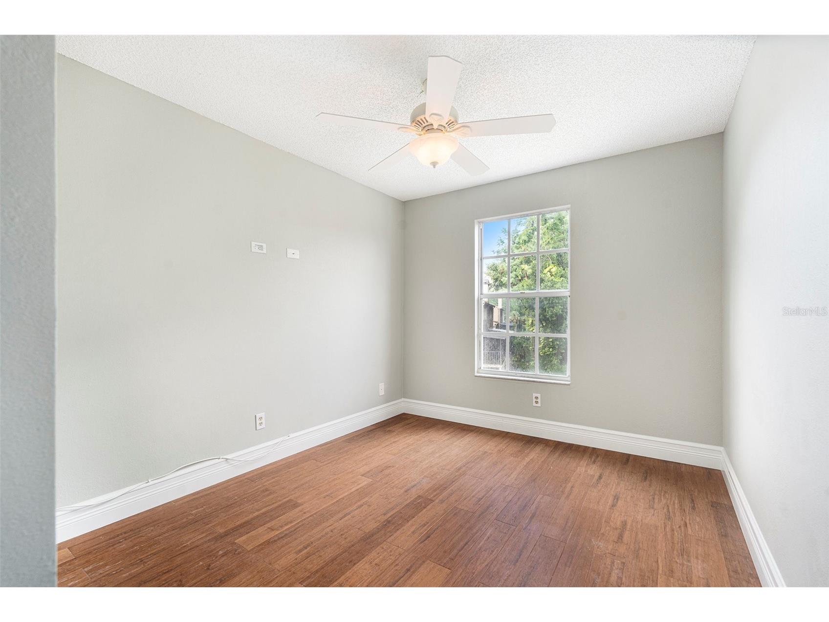 4117 Daventry Lane Palm Harbor FL 34685 TB8402978 image65