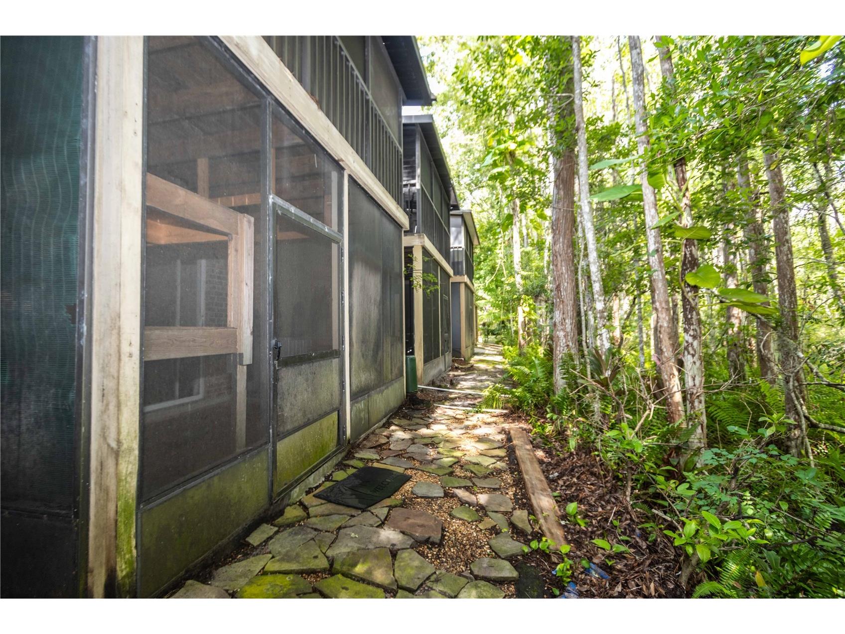 4117 Daventry Lane Palm Harbor FL 34685 TB8402978 image68