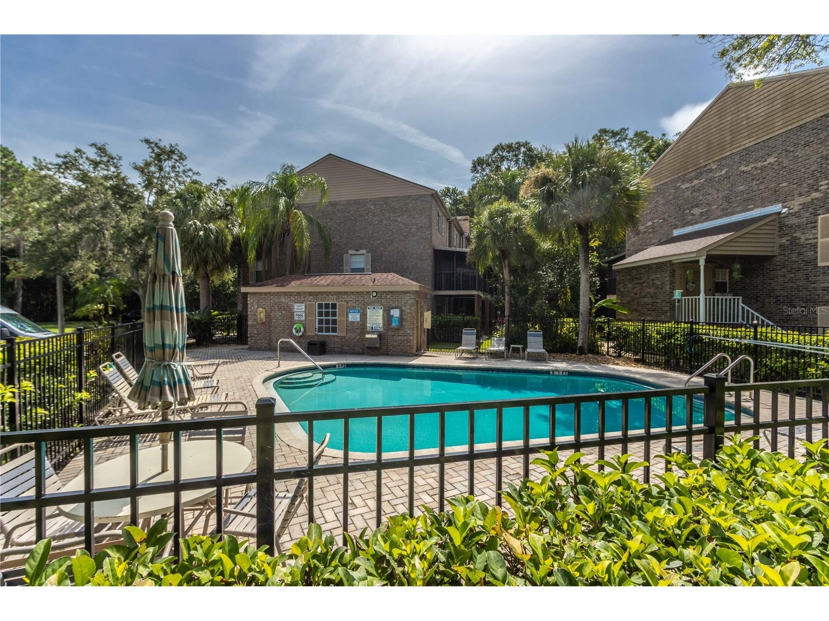 4117 Daventry Lane Palm Harbor FL 34685 TB8402978 image74