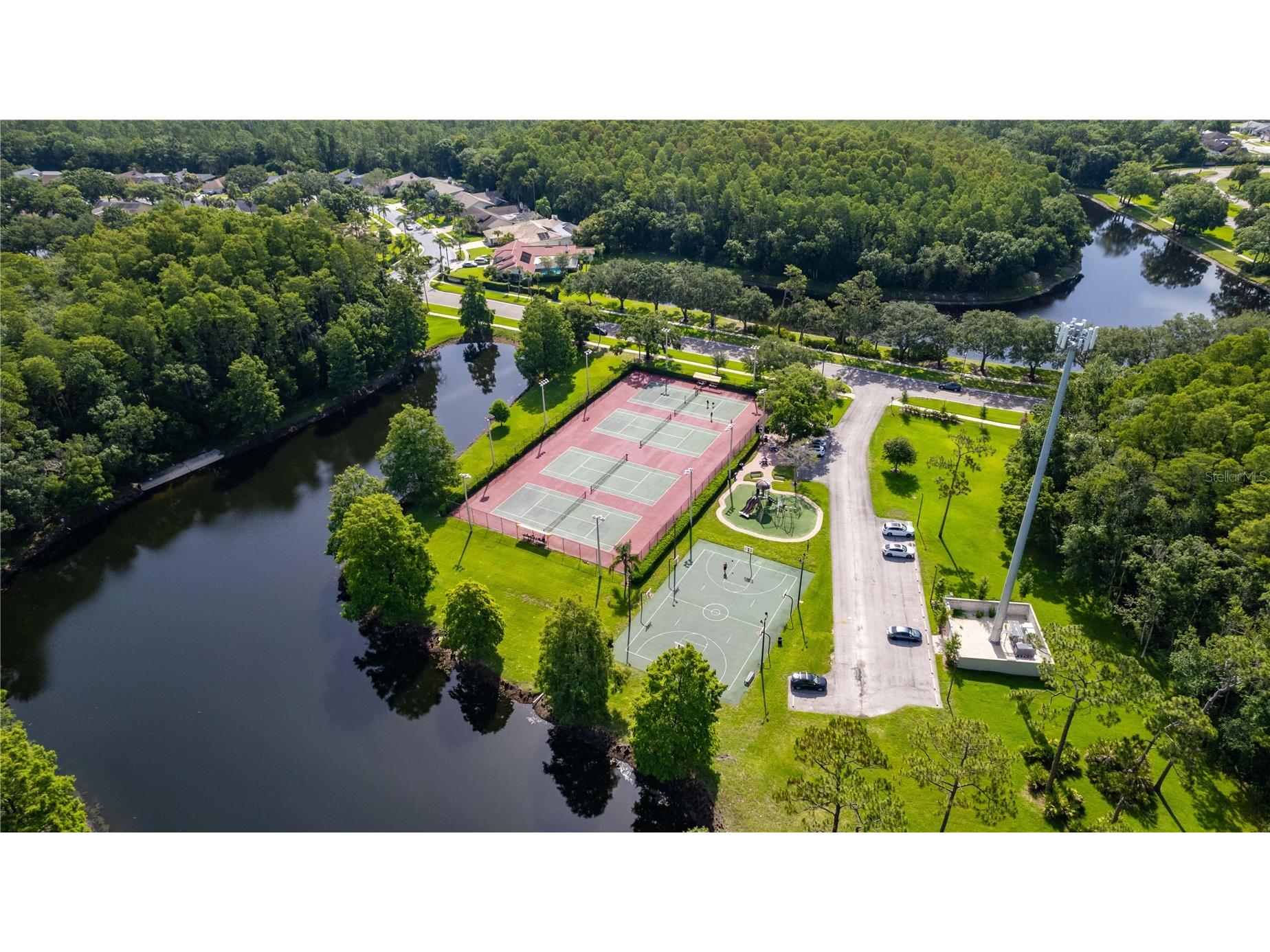 4117 Daventry Lane Palm Harbor FL 34685 TB8402978 image77