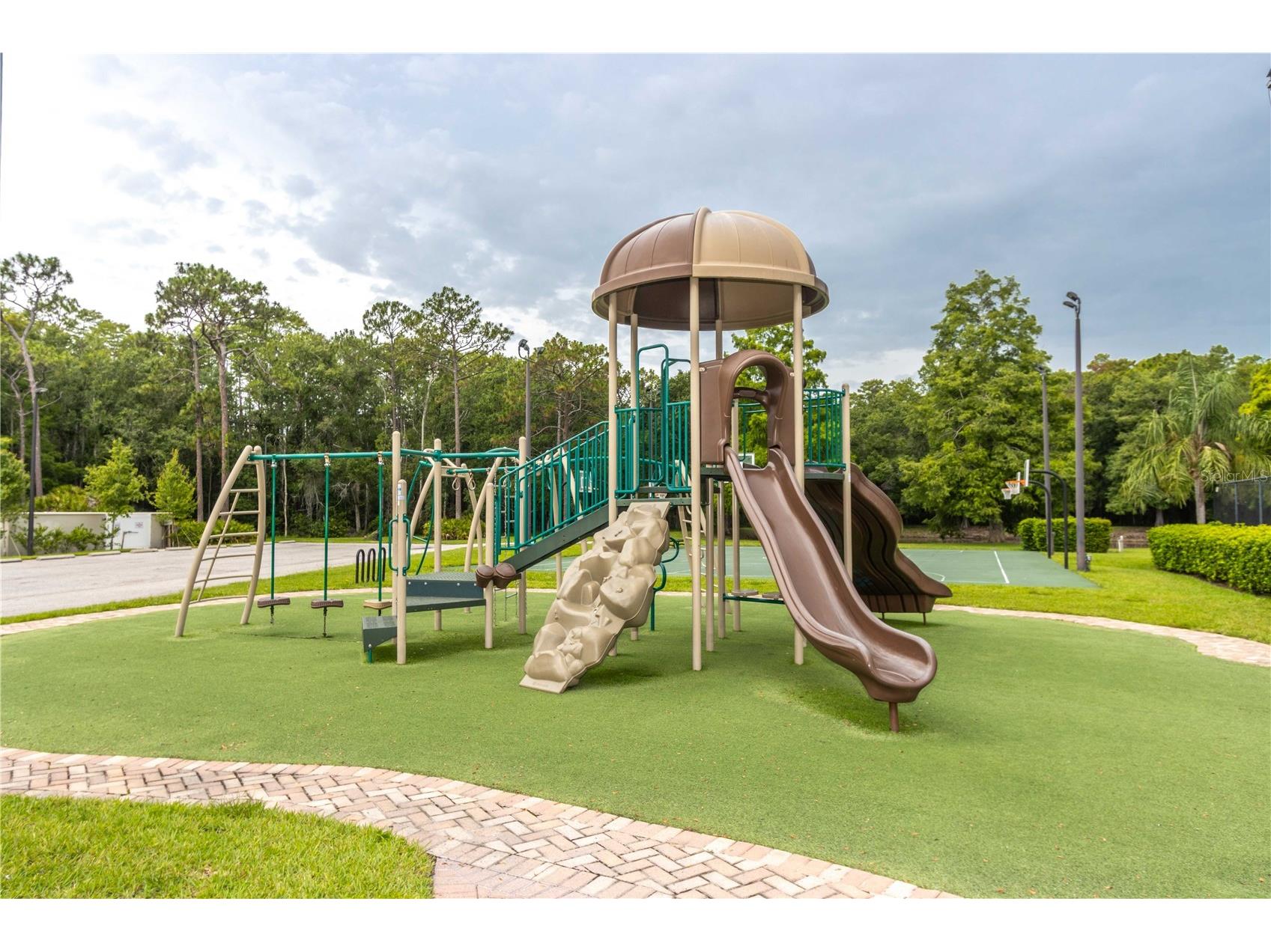 4117 Daventry Lane Palm Harbor FL 34685 TB8402978 image78